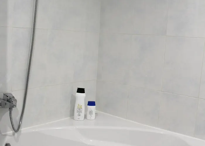 Monasterio Centro Historico * Burgo